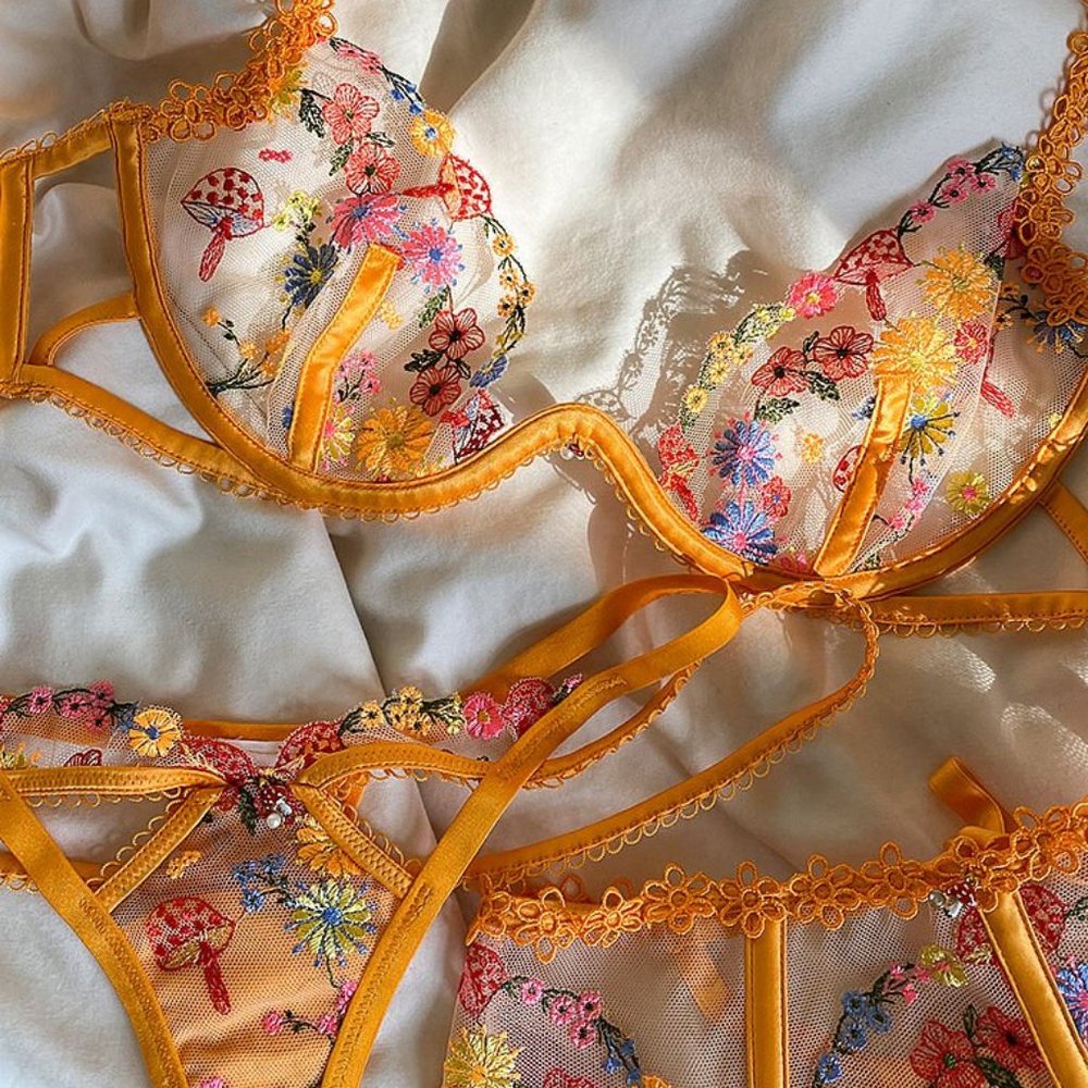 BNWT For Love and Lemons/Victoria's Secret Lingerie Set